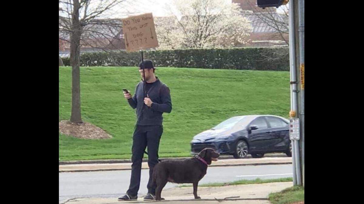 Jason Gasparik was desperate to find a lost dog’s owner when he took to a busy Ballantyne intersection with the dog and a cardboard sign. His act of kindness went viral and now, nearly two weeks later, is still getting national attention.