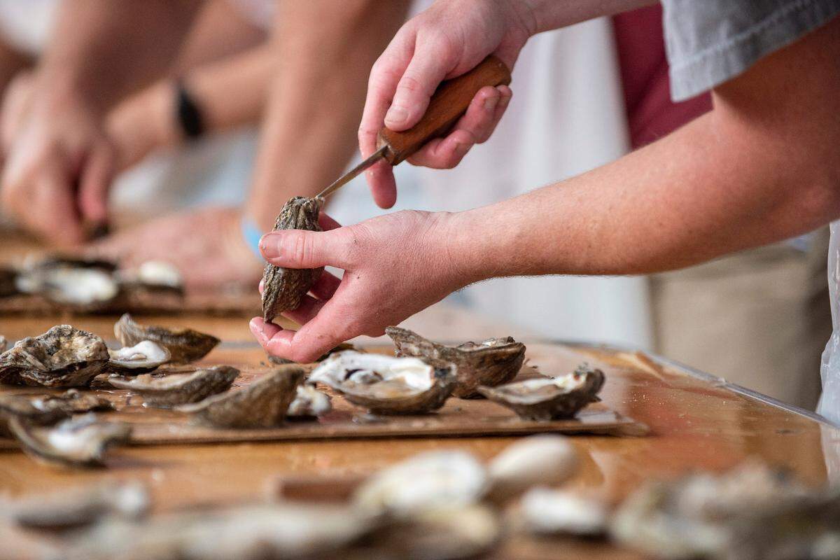 In North Carolina, oyster season runs from October to March.