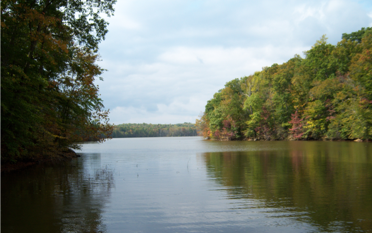 Photo of a part of High Rock Lake, near Lexington, N.C.