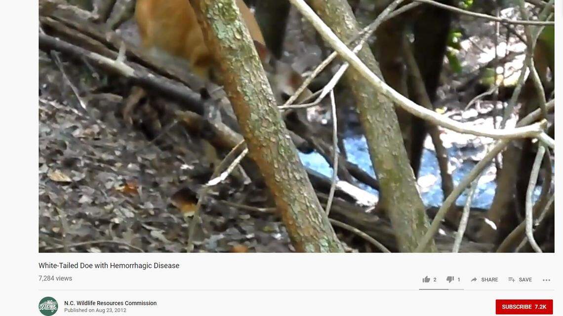 Sick and dead deer have been found in western North Carolina, an official says.