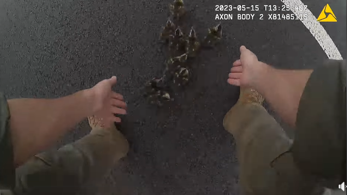 “First responders serve everyone in the county, ducks included!” the police department said on Facebook.