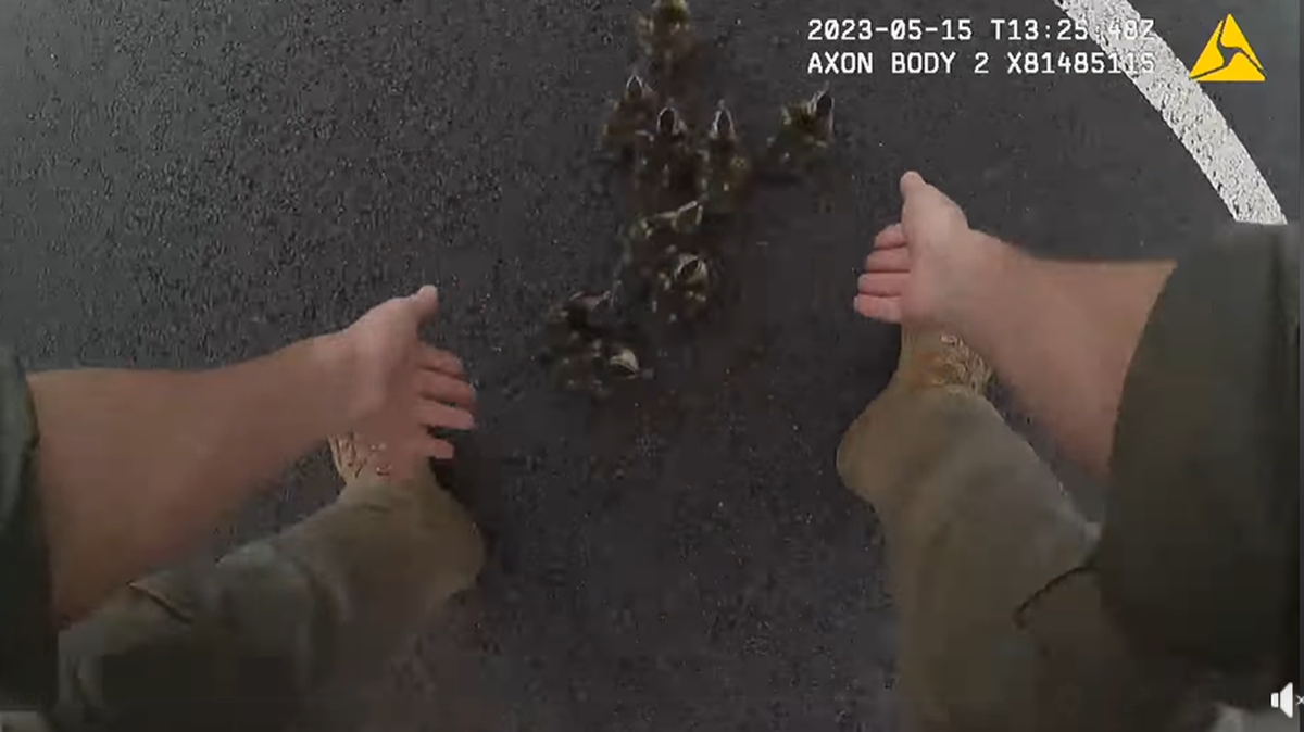 “First responders serve everyone in the county, ducks included!” the police department said on Facebook.