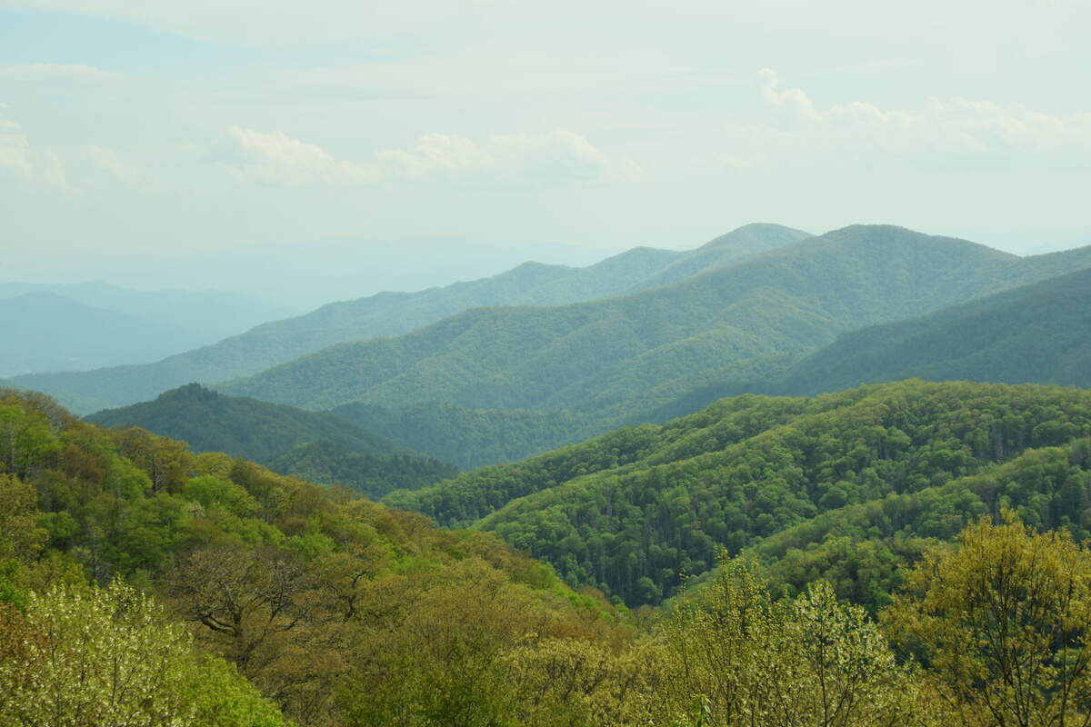 The Great Smoky Mountains is America’s most visited national park, according to the National Park Service.