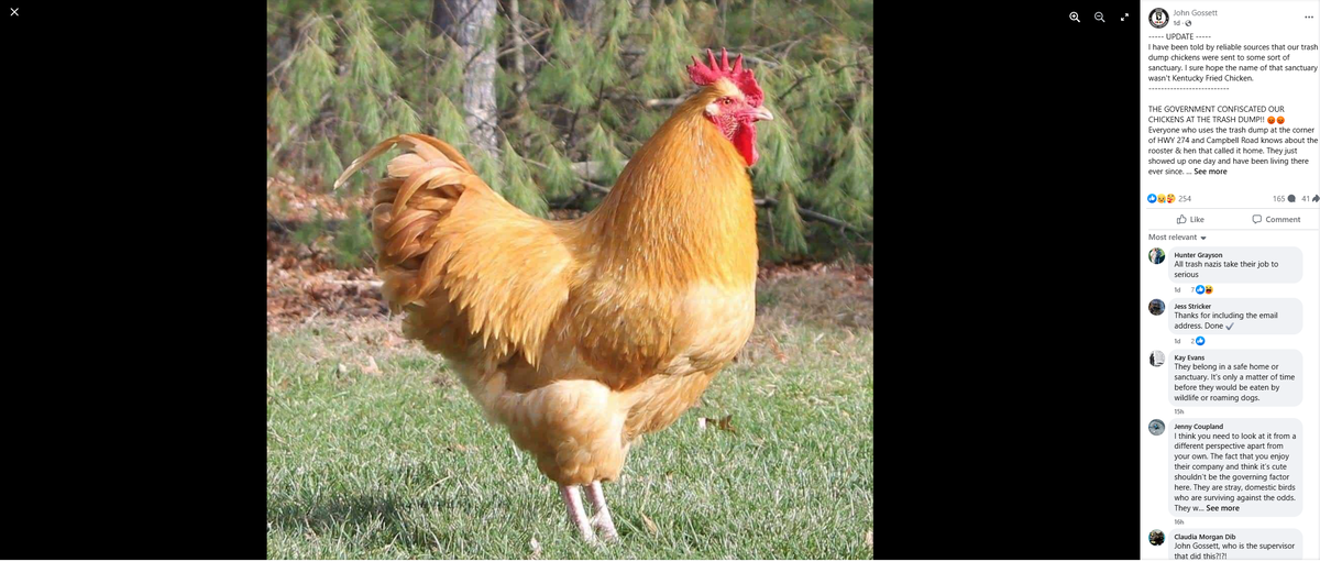 This Facebook post by John Gossett has generated hundreds of reactions and comments because York County government removed a pair of beloved roosters from a trash dump at the corner of Highway 274 and Campbell Road.