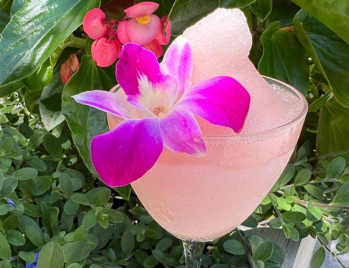 Dilworth Tasting Room SouthPark’s new Frosé is made with Grey Goose Essences Watermelon & Basil, St. Germain, fresh lemon and French Rosé.