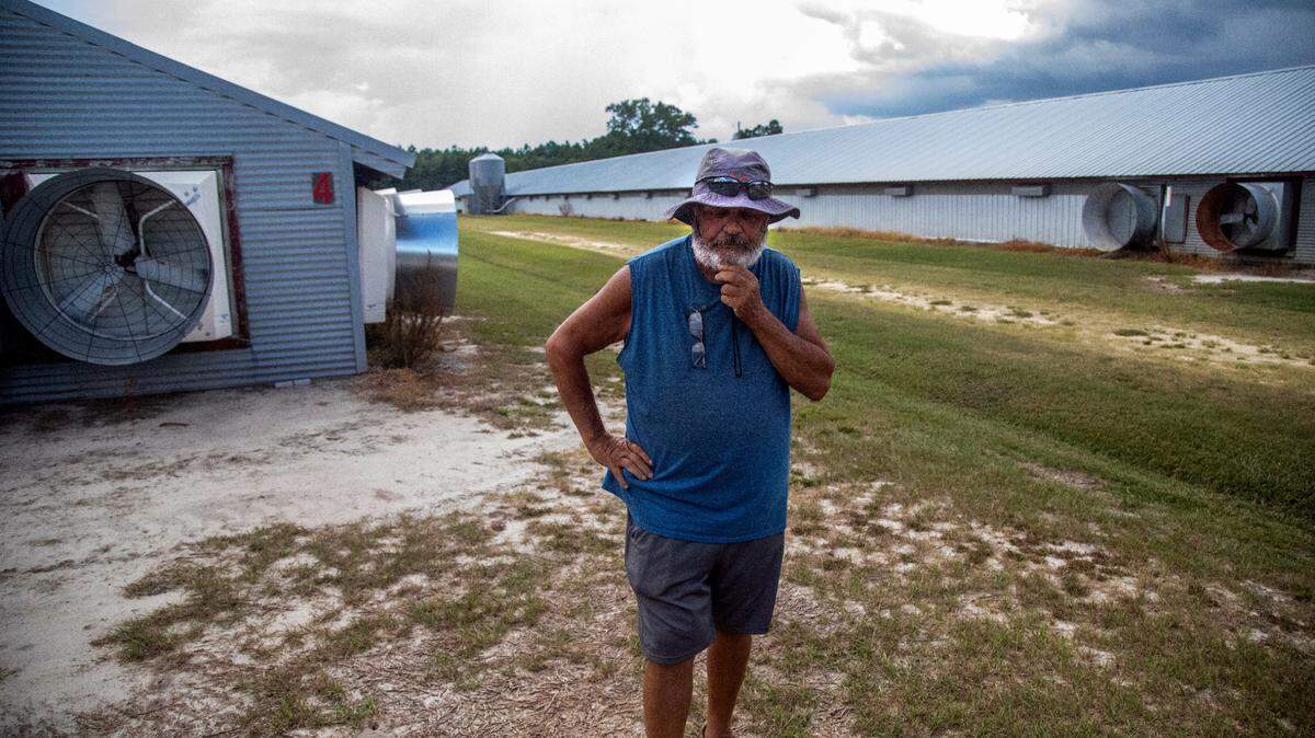 Working in fear: After they complained, farmers say poultry companies retaliated