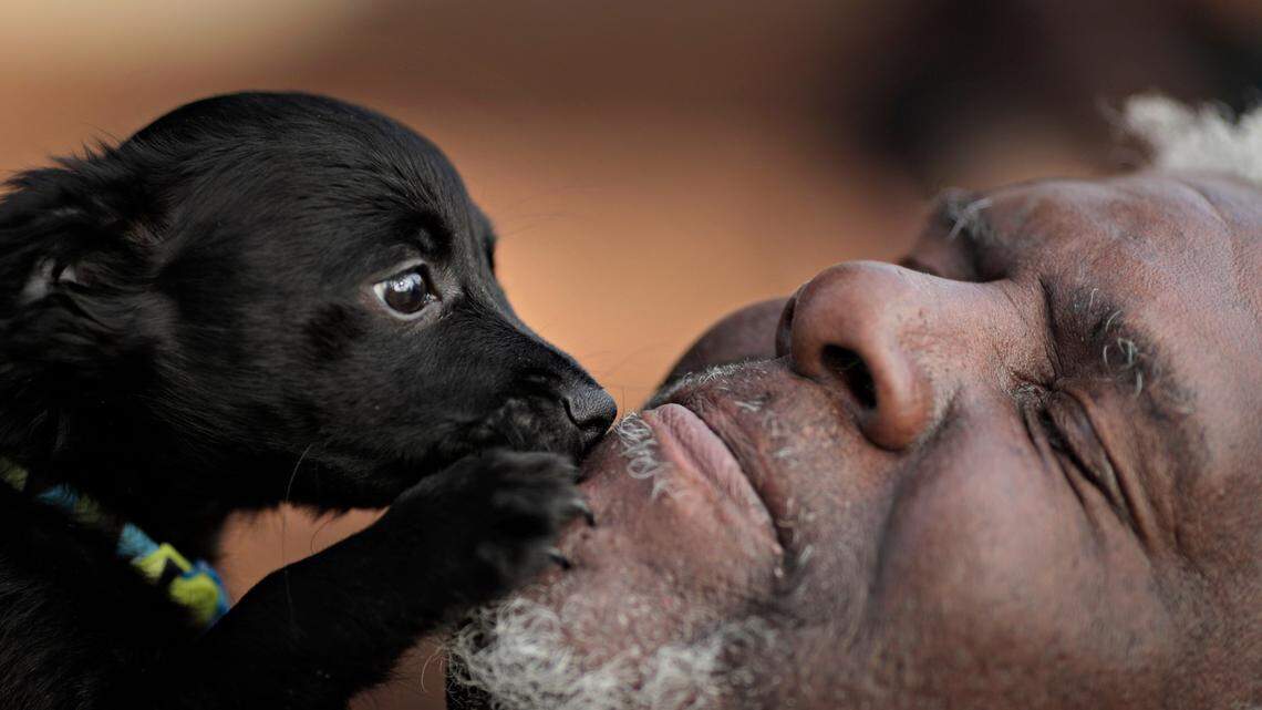Asheville, North Carolina ranks as No. 9 of the most pet-friendly road trip destination in US. Motel 6 said it studied dog parks, hiking trails, pet stores and vets. (Carlos Avila Gonzalez/San Francisco Chronicle via AP)