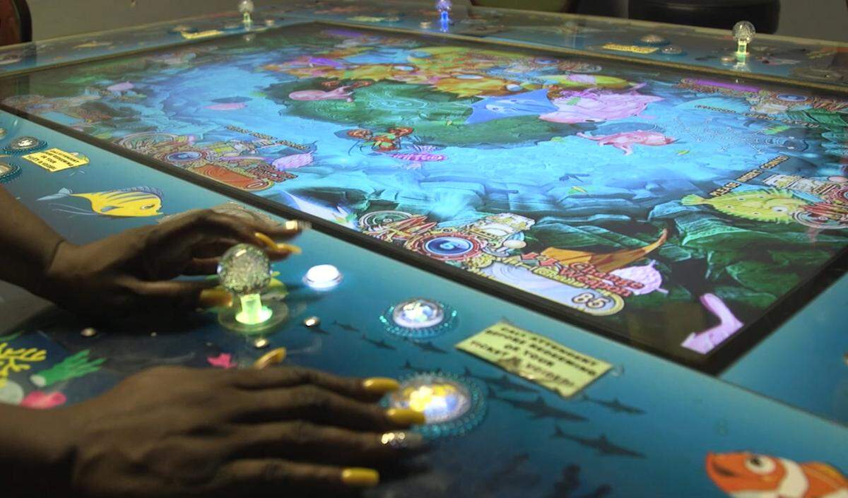 Garish aquatic creatures swim across a 55-inch TV screen embedded in the six-foot game table. If you shoot and kill one — sometimes a whale, a sea dragon or monster crab — you win points. Points are redeemable for cash or more credits to keep playing.