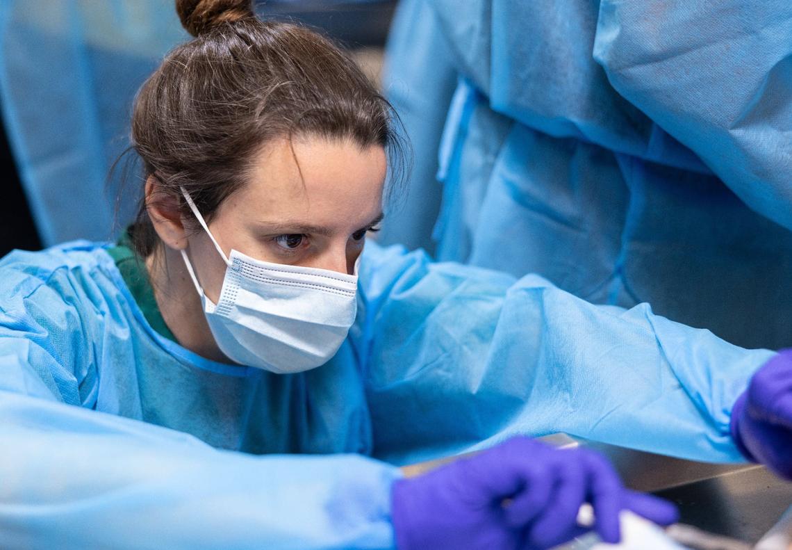 Katie Hopkins of Align & Spiral works with a cadaver at Experience Anatomy.