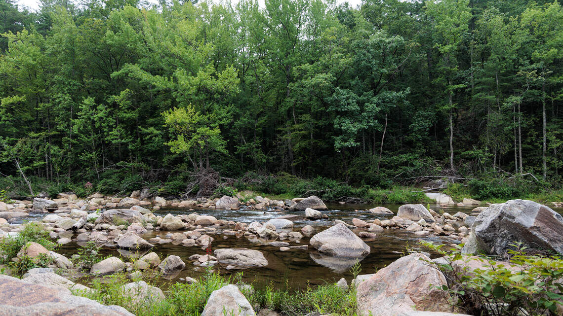 Forest Service declines public meeting on Pisgah National Forest ICE operation