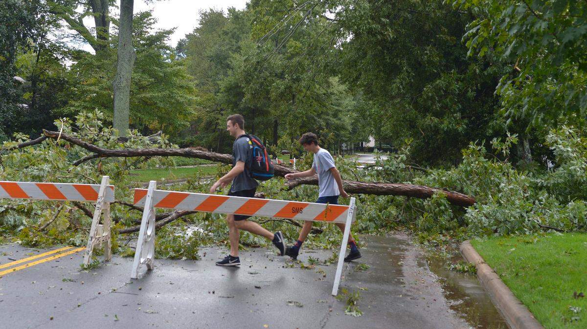Pedestrians and cyclists go around a large tree blocking Selwyn Avenue in the area of Queens University on Thursday. The remnants of Tropical Storm Michael downed a number of trees around Charlotte.