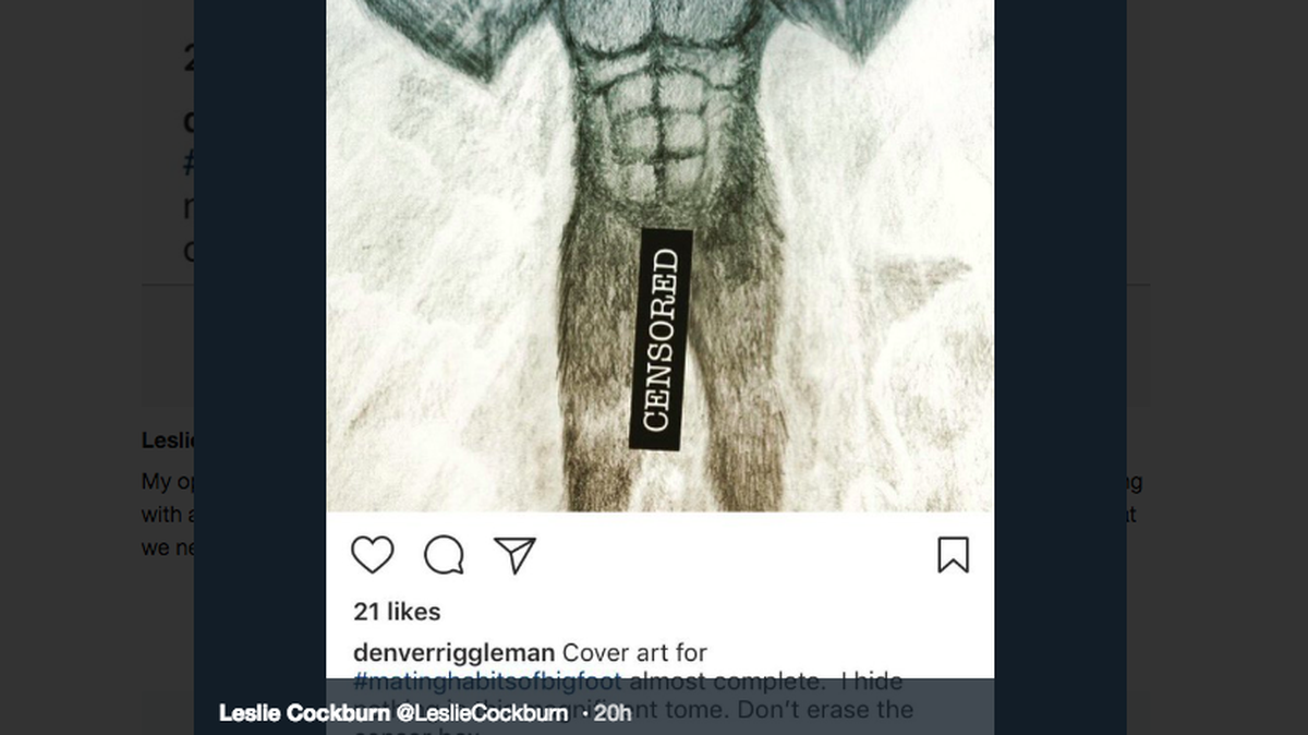 Republican House candidate Denver Riggleman was accused by his Democratic competitor Leslie Cockburn of being interested in “bigfoot erotica.” Riggleman says it was satirical. His critics say the whole thing is a distraction.