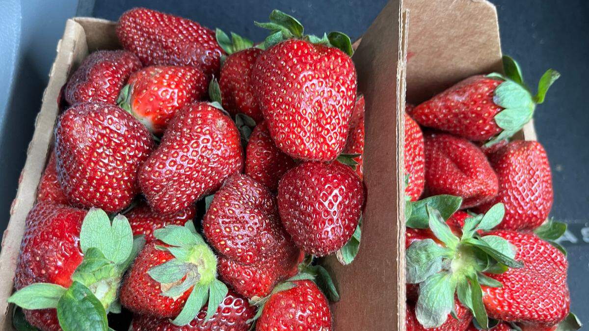 Fresh, local strawberries
