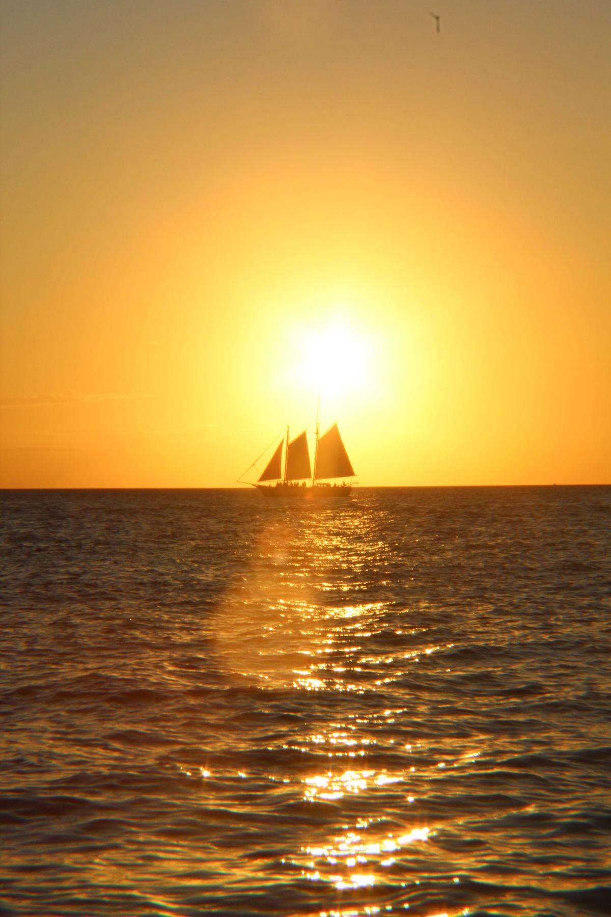 Title: Sunset Cruise Key west, November 27 2024