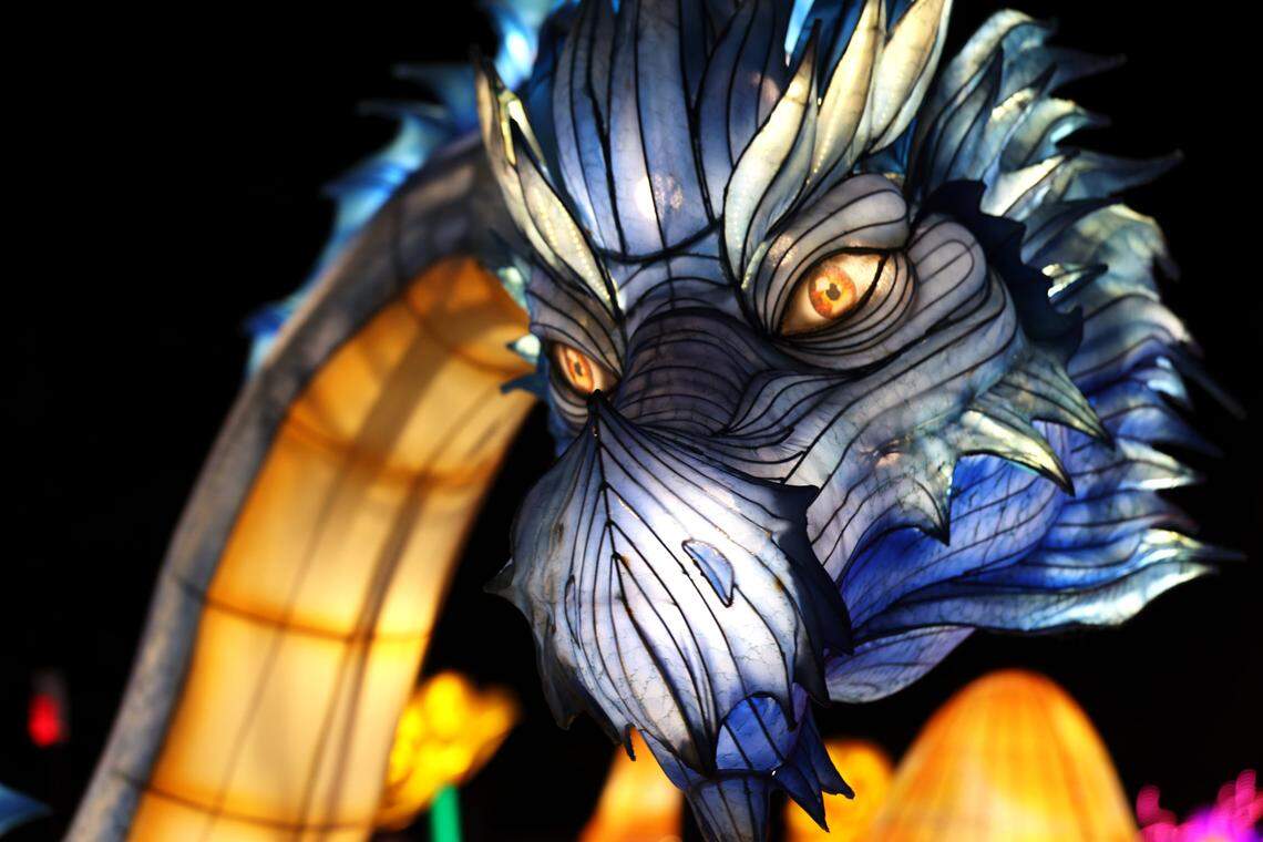Handcrafted lanterns shaped as mythical creatures, like this mighty dragon, rule the animal kingdom at the Tianyu Lights Festival at Concord Mills, Charlotte, N.C.