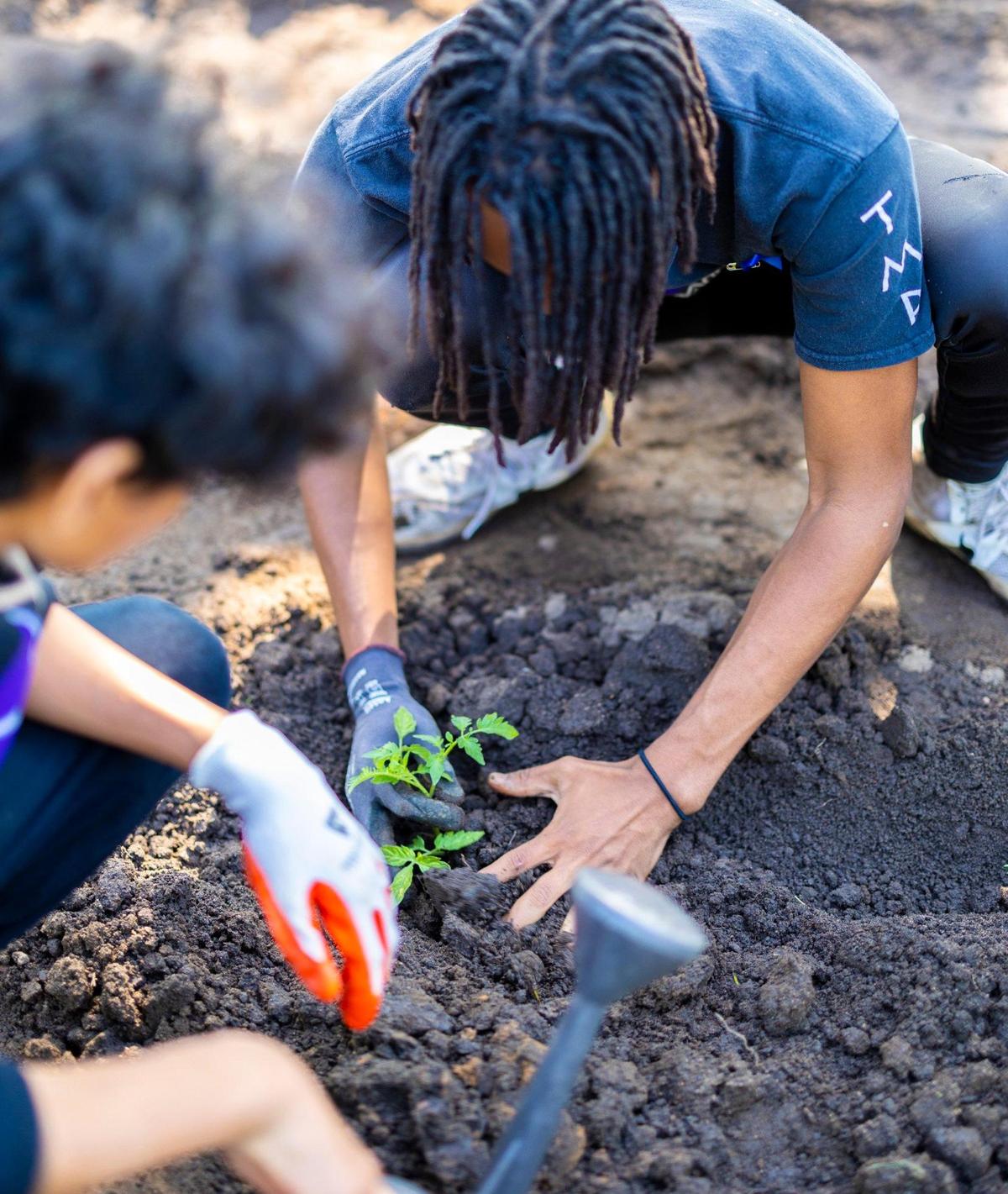 Jason Chambers, left, and Nyjhol Bien-aime plant tomato sprouts during The Males Place spring gardening at Fred Alexander Park in Charlotte on Saturday, April 23, 2022.