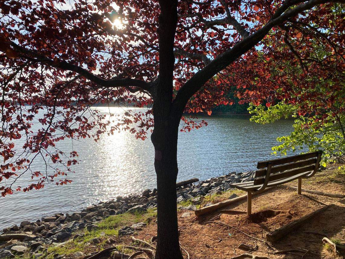 McDowell Nature Preserve is just a half an hour from Charlotte City Center.