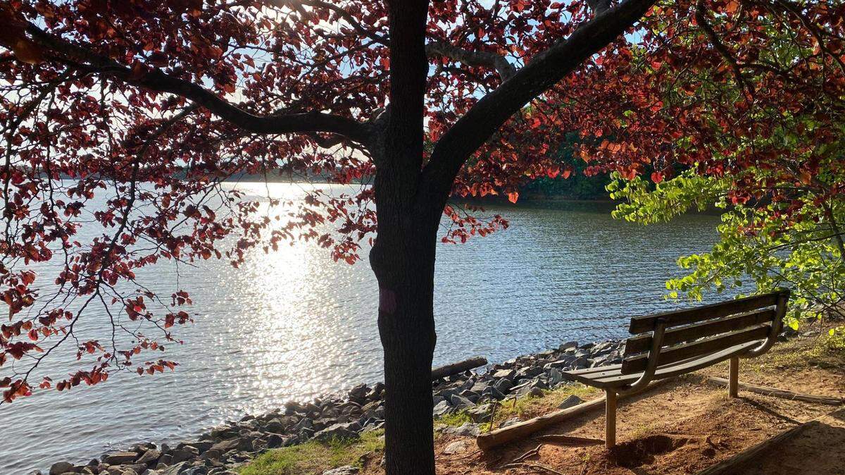 Take a spring hike at the McDowell Nature Preserve or other nearby spots within 90 minutes of Charlotte.