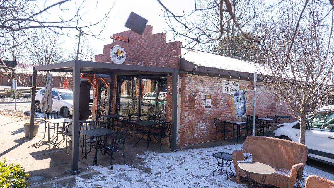 Smelly Cat in NoDa on Jan. 22, 2025 after a snow the night before.