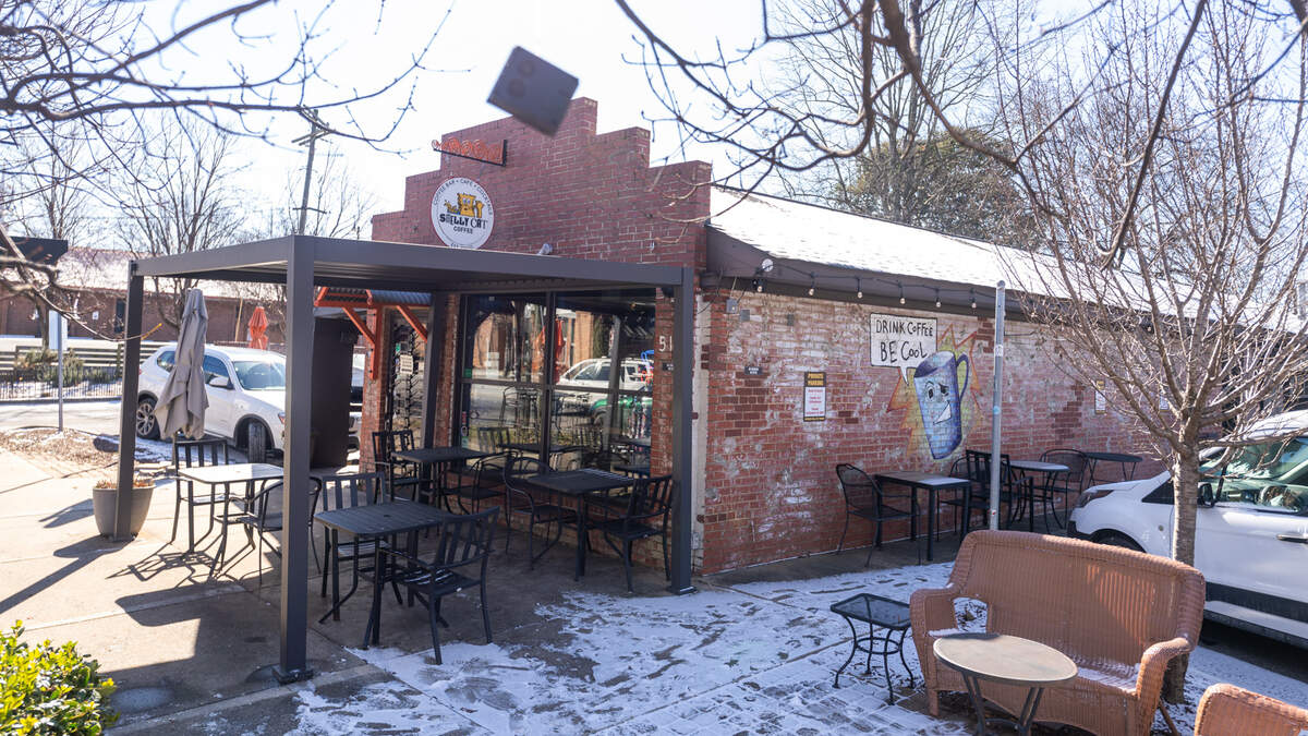 Smelly Cat in NoDa on Jan. 22, 2025 after a snow the night before.
