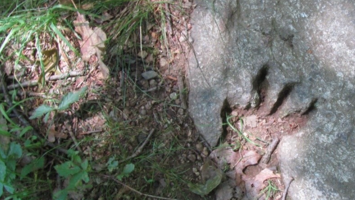 This looks a lot like a dinosaur footprint along the Appalachian Trail, but its a pseudo-fossil, experts say.