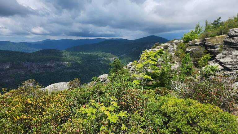 Hiker using Google Maps to navigate gets stuck all night in NC gorge, rescuers say