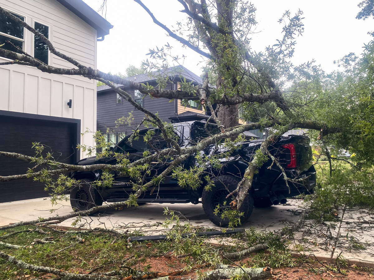 A tree fell into the driveway and onto a truck parked at a house on Phillips Avenue in South Charlotte after strong storms passed through the area on Friday afternoon.