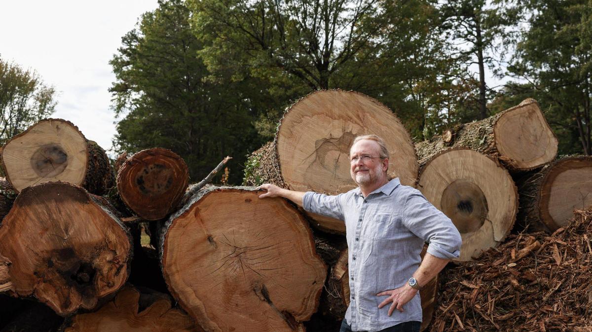 Progress in this long-neglected Charlotte area comes with a catch: 22 trees chopped down