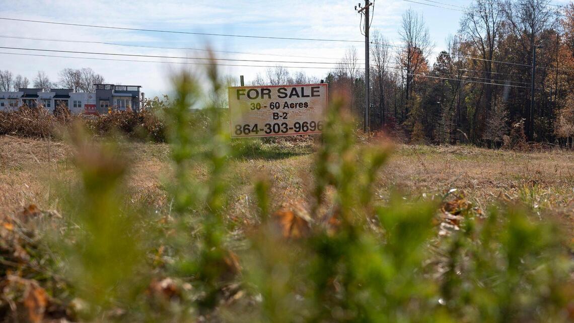 Losing our trees: Building boom threatens Charlotte’s prized tree canopy