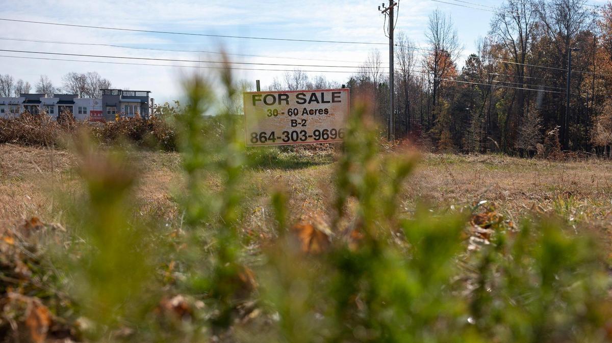 Losing our trees: Building boom threatens Charlotte’s prized tree canopy