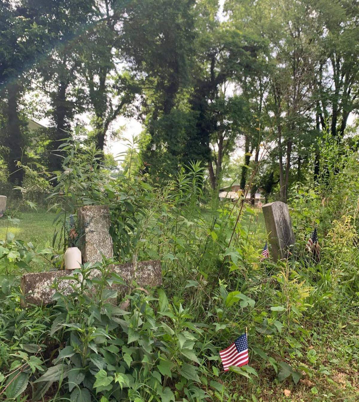 Thick weeds sprouted around headstones in Biddleville Cemtery in June 2024. Jason Tapp organized a clean up through his Instagram page Spooky CLT to get the cemetery into better shape.