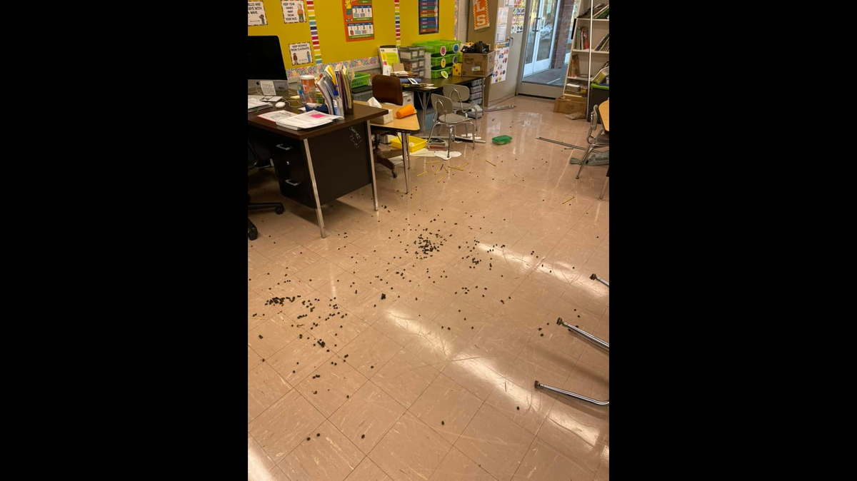 A photo shows the Tennessee classroom where a deer broke in Tuesday, Nov. 23.