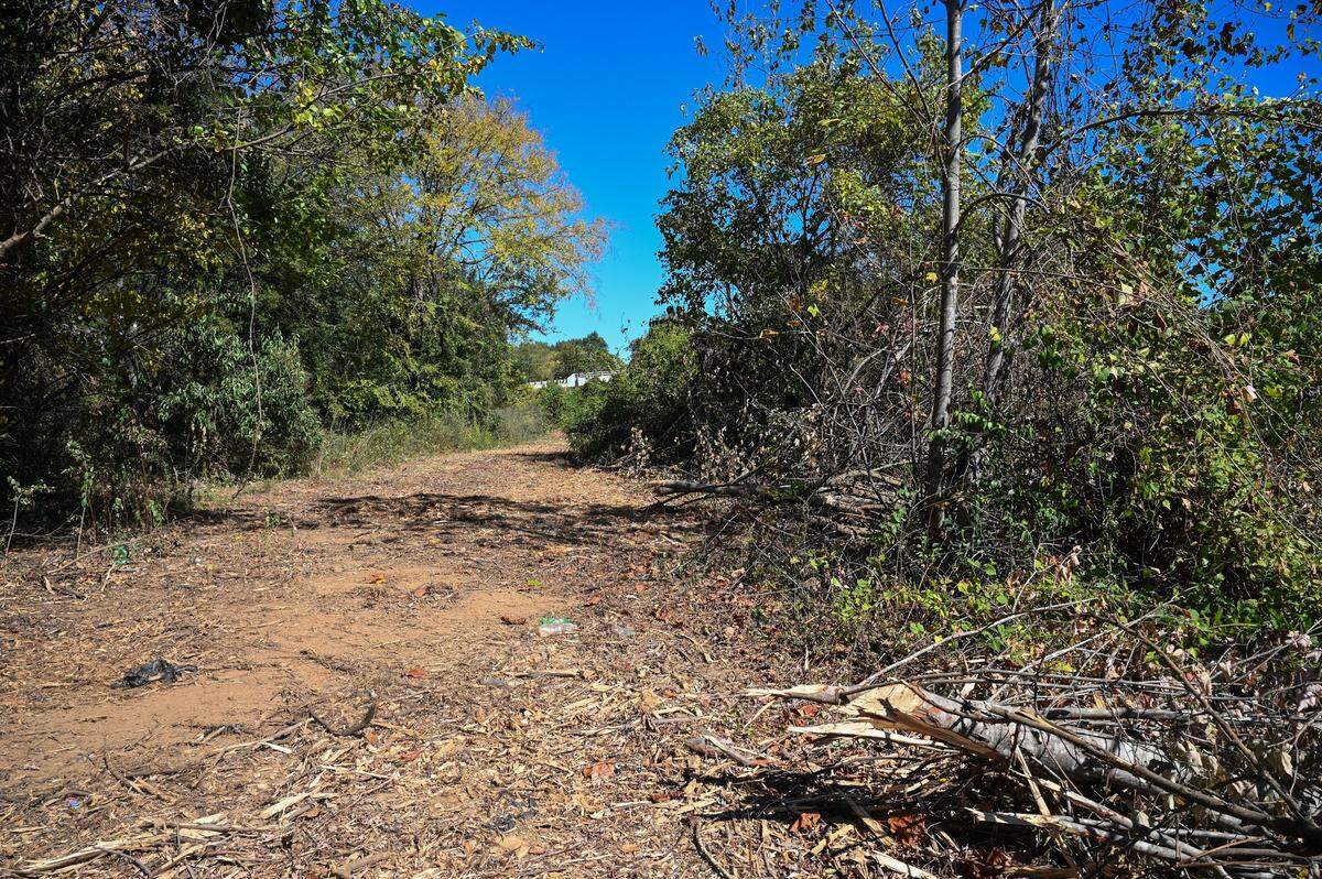 Trees and brush near Irwin Creek are being cleared, next to the McCrorey Heights neighborhood, where there may be a future expansion of Interstate-77 South.  