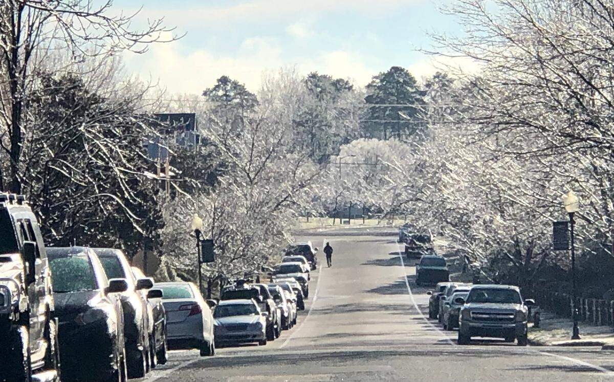 Ice-covered tree limbs glisten in the Village of Lake Park in Union County last January.