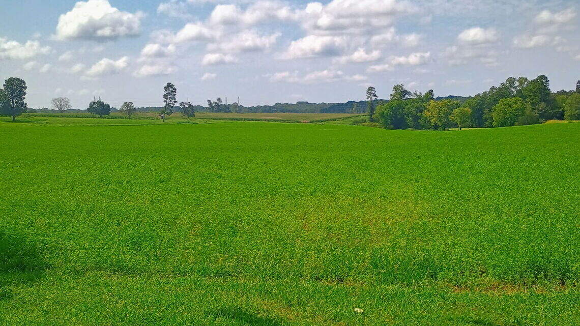 Texas developer reveals plans for massive data center on lush green NC farmland