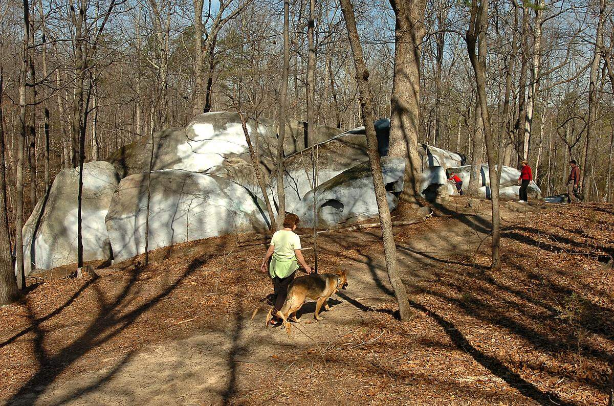 The Big Rock Shelter.