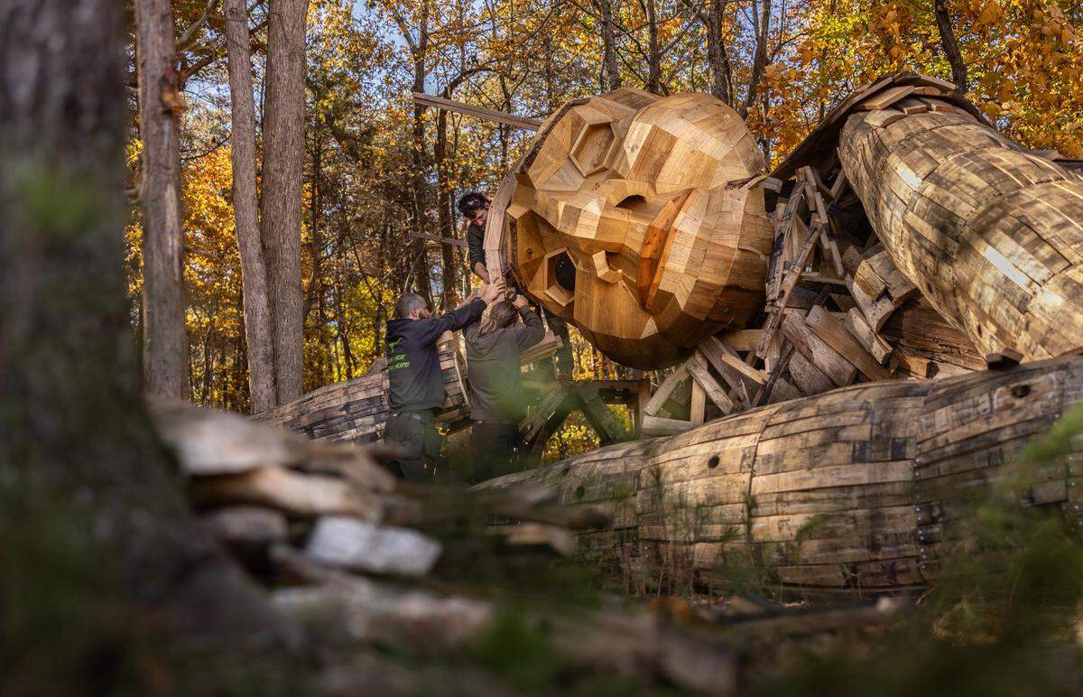 Volunteers work on constructing a giant troll sculpture named Pete with the Big Feet by Danish artist Thomas Dambo in Charlotte, N.C., on Thursday, November 6, 2025.