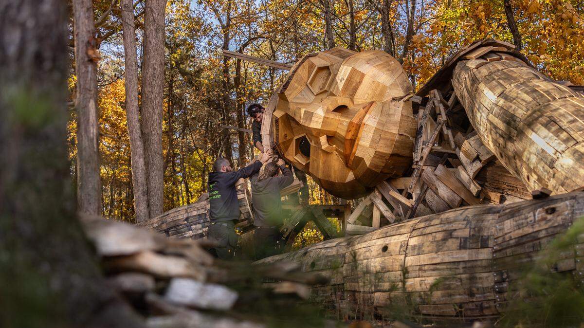 Volunteers work on constructing a giant troll sculpture named Pete with the Big Feet by Danish artist Thomas Dambo in Charlotte, N.C., on Thursday, November 6, 2025.