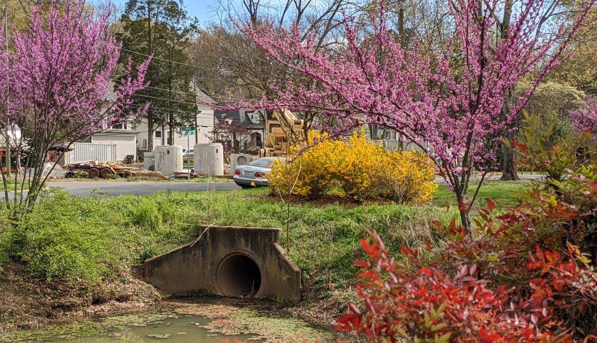 Take a stroll on the Little Sugar Creek Greenway, then grab a bite at Amelie’s Park Road or Suárez Bakery.