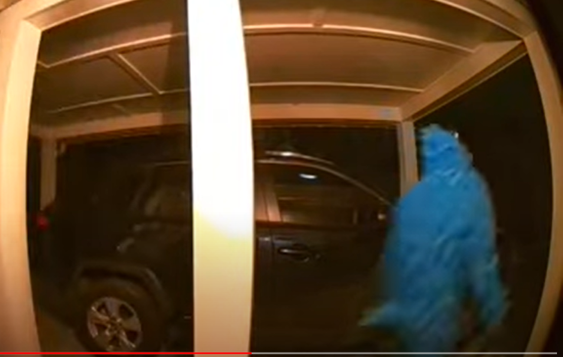 Police in Nashville, Tennessee, are searching for a burglary suspect who was recorded wearing a blue dinosaur onesie.