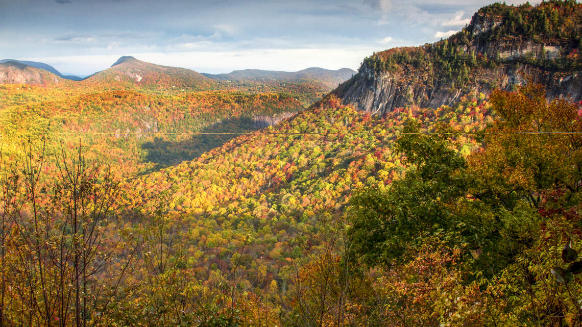 Southern Living says this NC attraction is a must-see, but only for a few weeks
