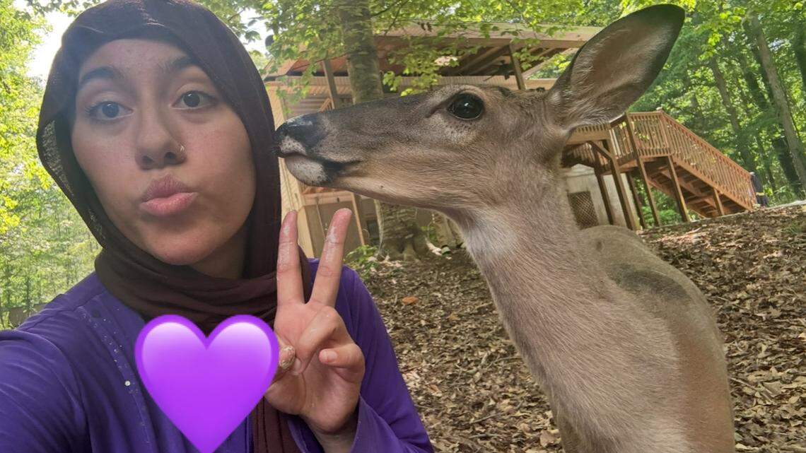 From lost to loved: A friendly young deer becomes a star in the yards of York, SC