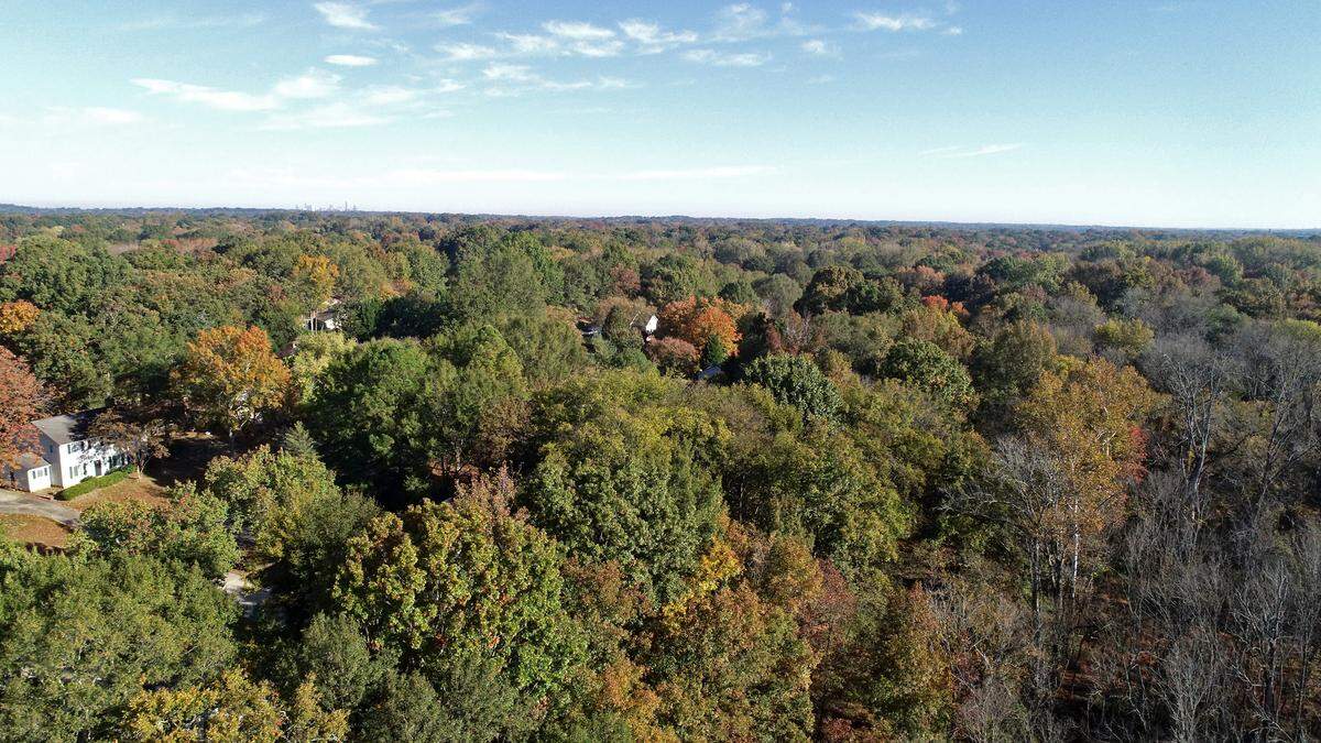 In 2014, city leaders bought 15 acres of woods along McAlpine Creek near Pineville-Matthews Road in south Charlotte. Charlotte’s payment-in-lieu funds paid for the property.