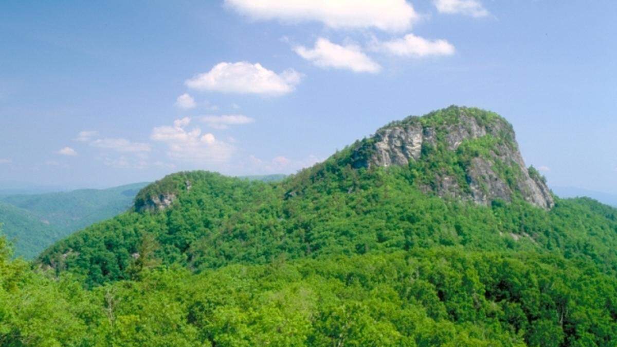 Folklore has it the squirrels made their way to freedom in the city of Brevard, which is an entrance to the 500,000-acre Pisgah National Forest.