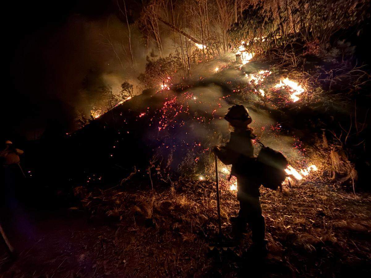 On Friday, Jan. 31, 2025, a firefighter battles a mountain wildfire of unknown cause in an area heavily damaged by Hurricane Helene near the Woodlawn community in McDowell County, NC.