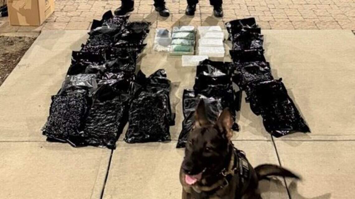 NC buyer opens new storage unit to find ‘significant quantity’ of cocaine inside