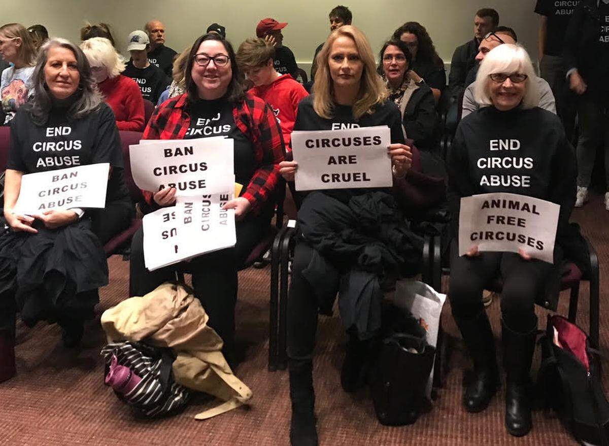 The City Council asked for more information about a proposed ordinance that would ban exotic and wild animals from performing forced and unnatural tricks for entertainment and will re-examine the issue again at a strategy session in December.