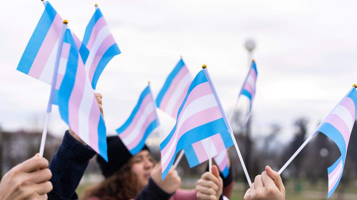 Many people hold transgender flags high in the sky in this stock photo.