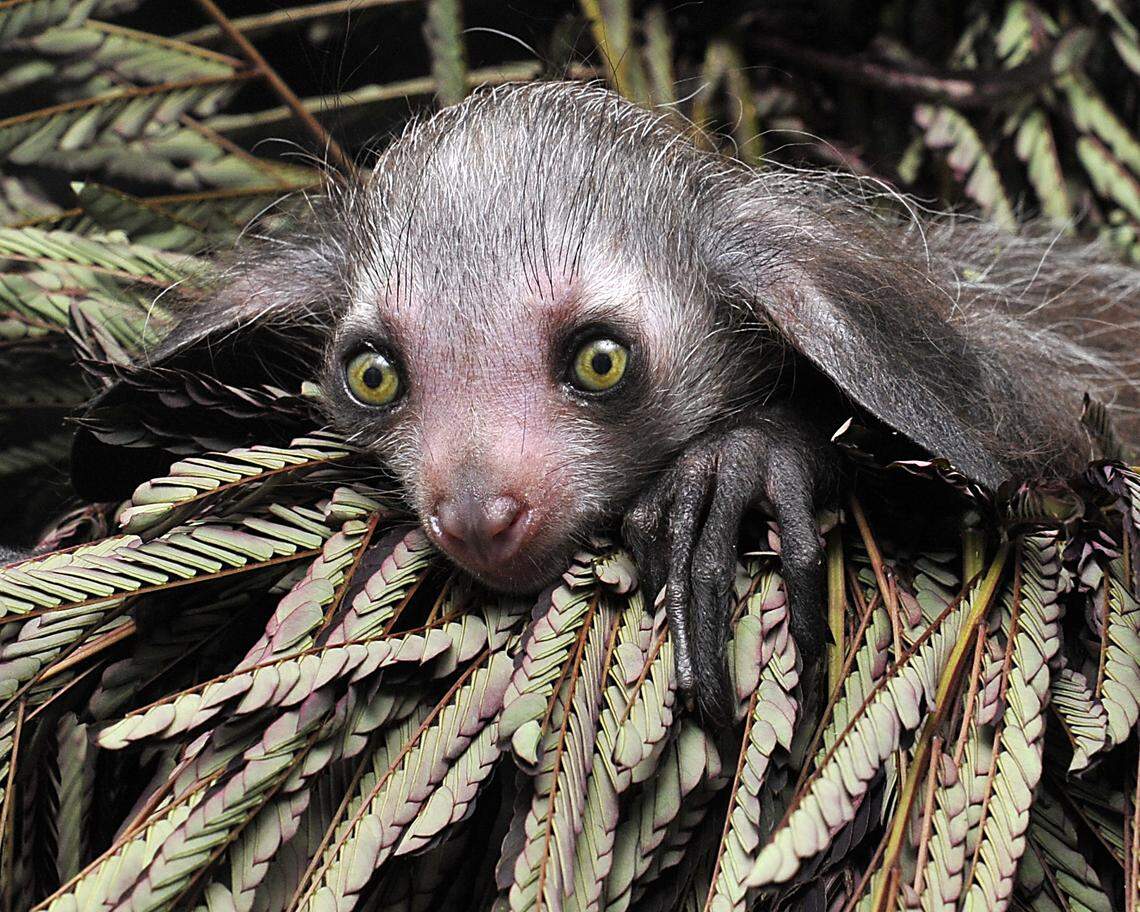 Melisandre on Sept. 19. 