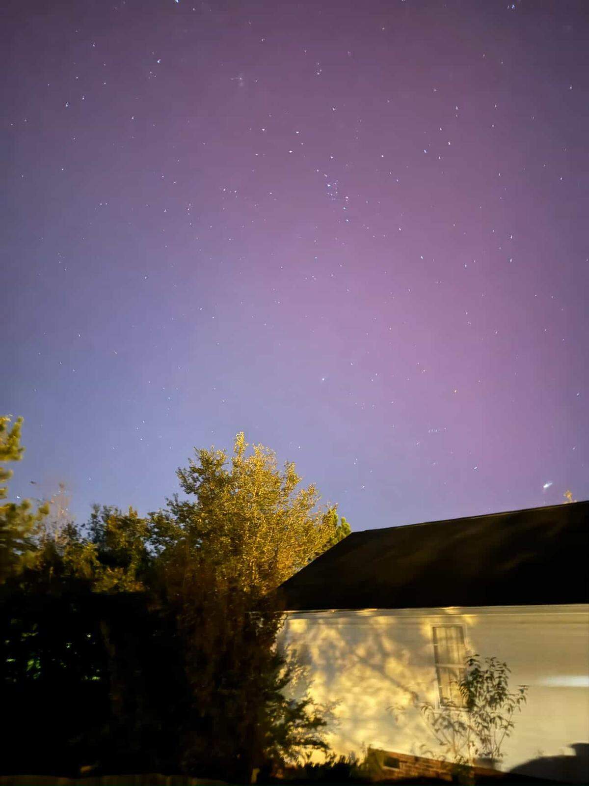 A nighttime photo of the aurora borealis, where the sky is illuminated in a soft gradient of lavender, purple, and violet, and is full of bright stars. In the foreground, the dark roof and white side of a house are visible on the right, and a bright yellow-leaved tree stands in the center foreground, illuminated by an unknown light source, creating a sharp contrast with the purple sky.